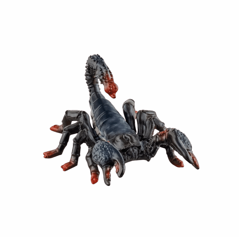 Escorpião Imperador