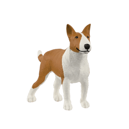 Bull Terrier